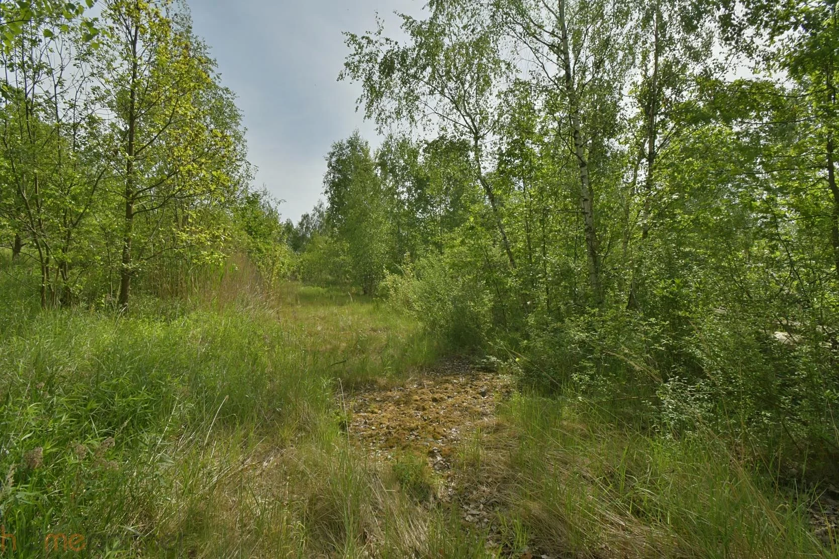 Działka 14 508,00 m², oferta nr , 19229, Wałbrzych, Stary Zdrój, Ludowa
