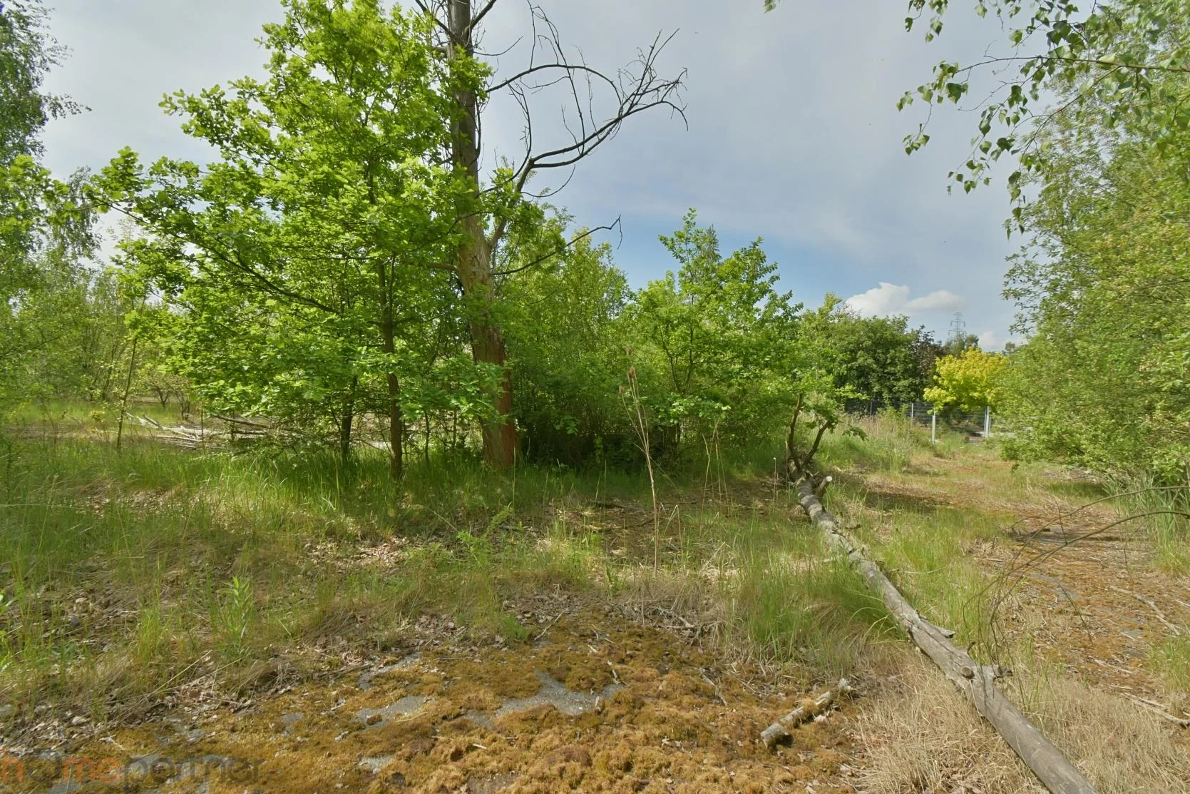Działka 14 508,00 m², oferta nr , 19229, Wałbrzych, Stary Zdrój, Ludowa
