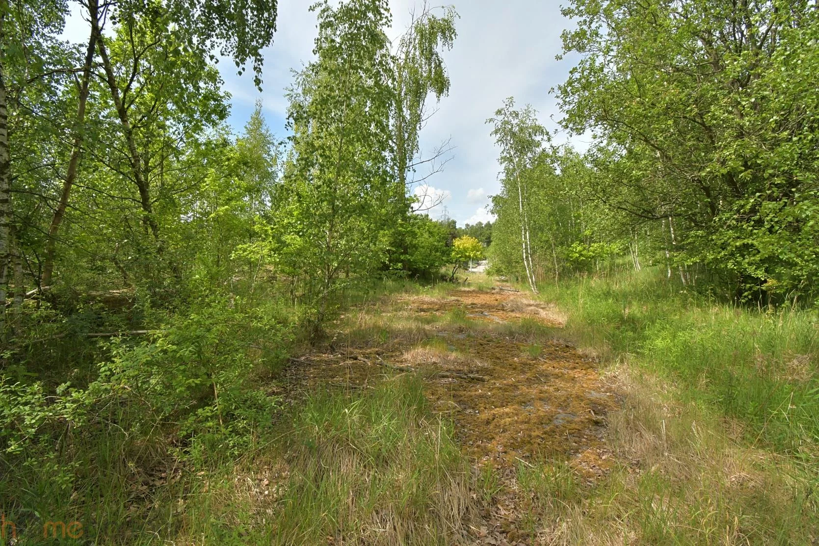 Działka 14 508,00 m², oferta nr , 19229, Wałbrzych, Stary Zdrój, Ludowa