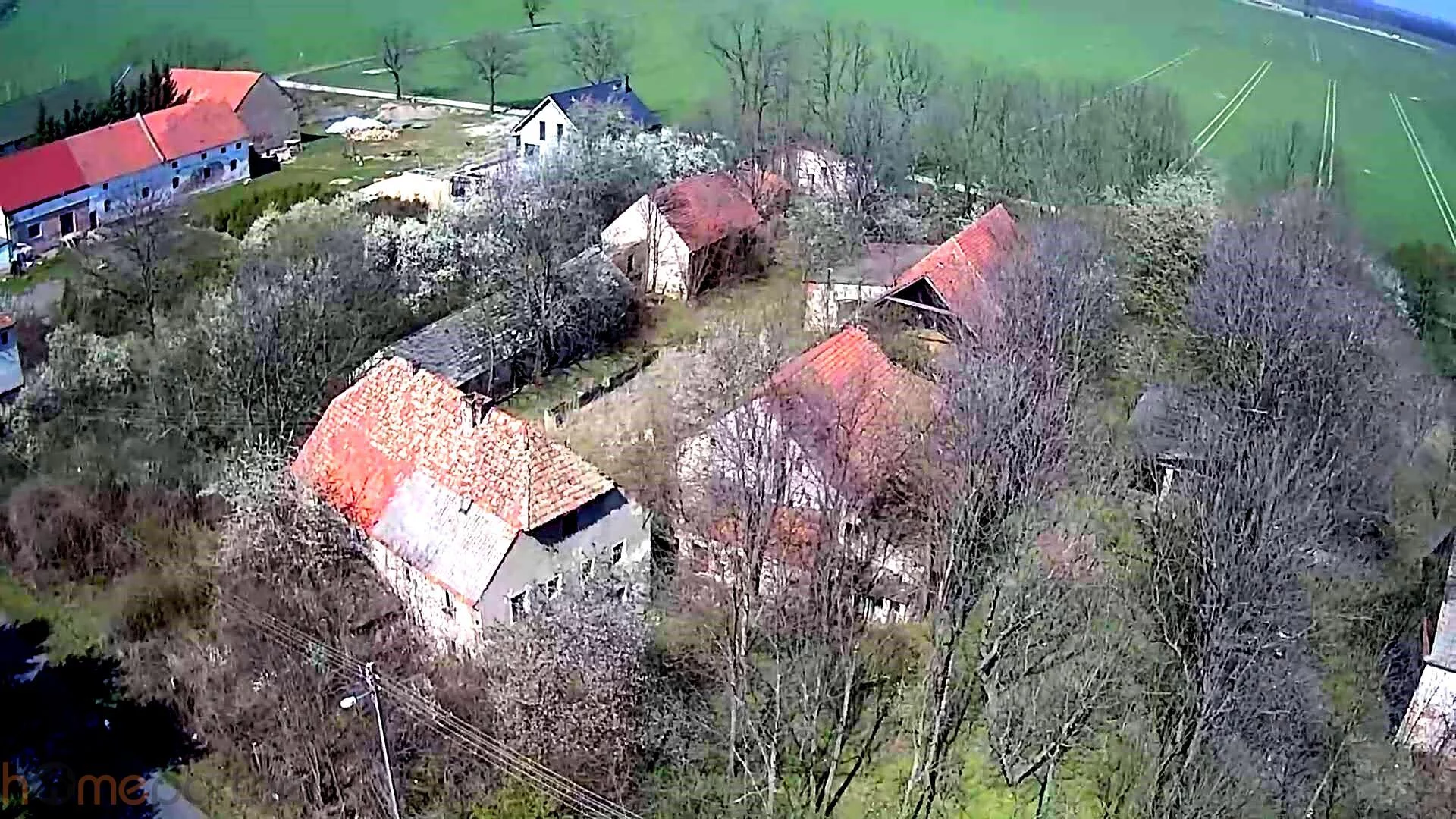 18246 - zdjęcie nr 1