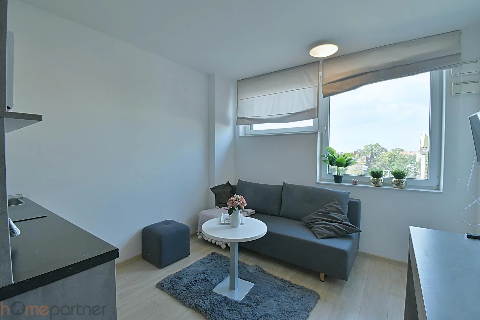 1 pokój, mieszkanie 15,79 m², piętro 4, oferta nr , 19463, Wrocław, Biskupin-Sępolno-Dąbie-Bartoszowice, Śródmieście