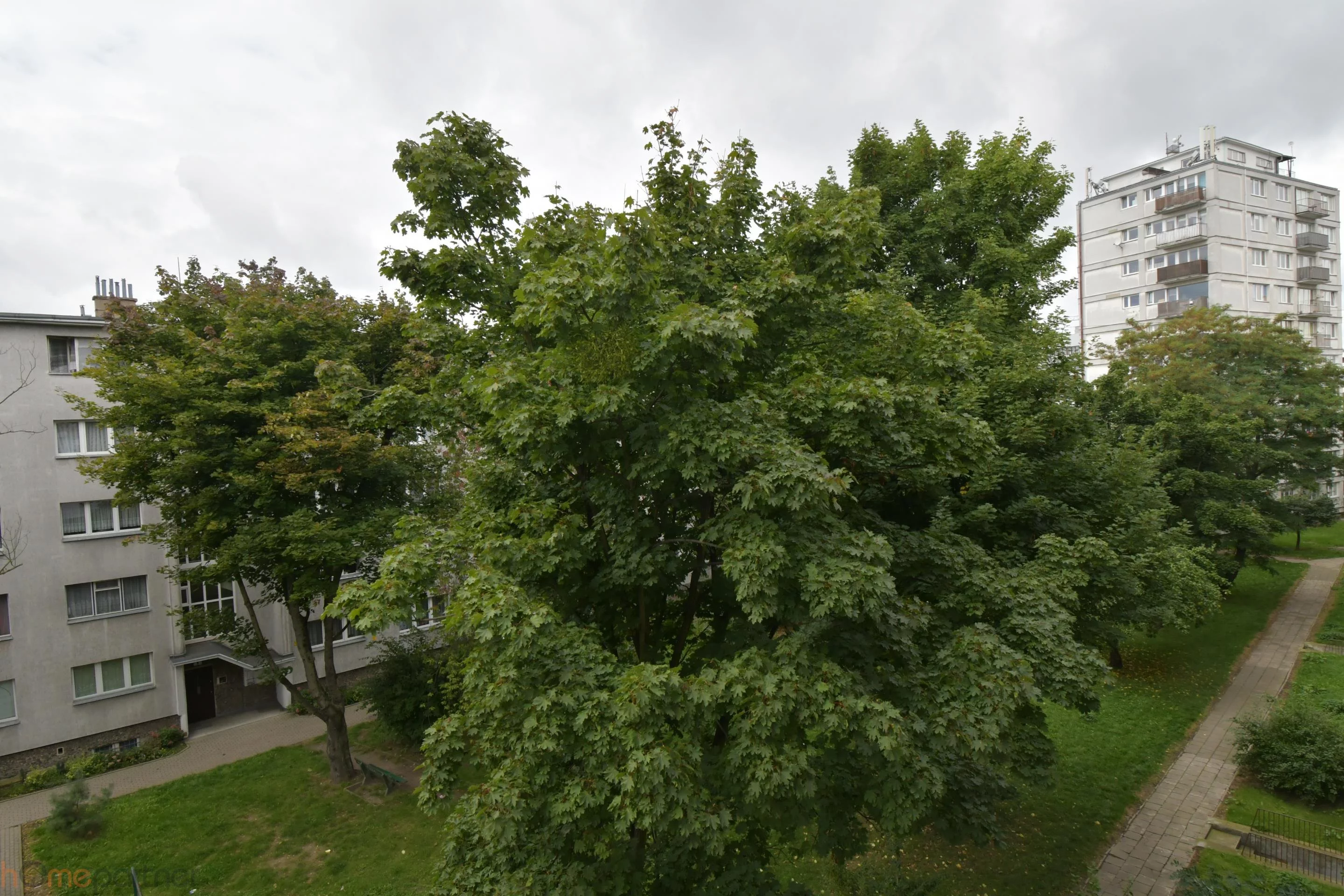 1 pokój, mieszkanie 24,00 m², piętro 3, oferta nr , 19315, Wrocław, Grabiszyńska