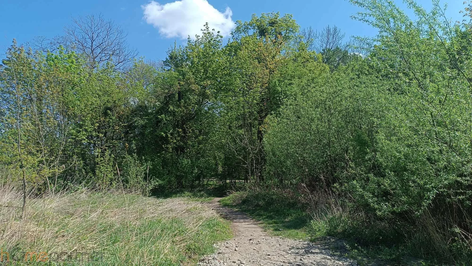 2 pokoje, mieszkanie 46,48 m², parter, oferta nr , 19243, Wrocław, Krzyki-Partynice, Krzyki, Brochowska