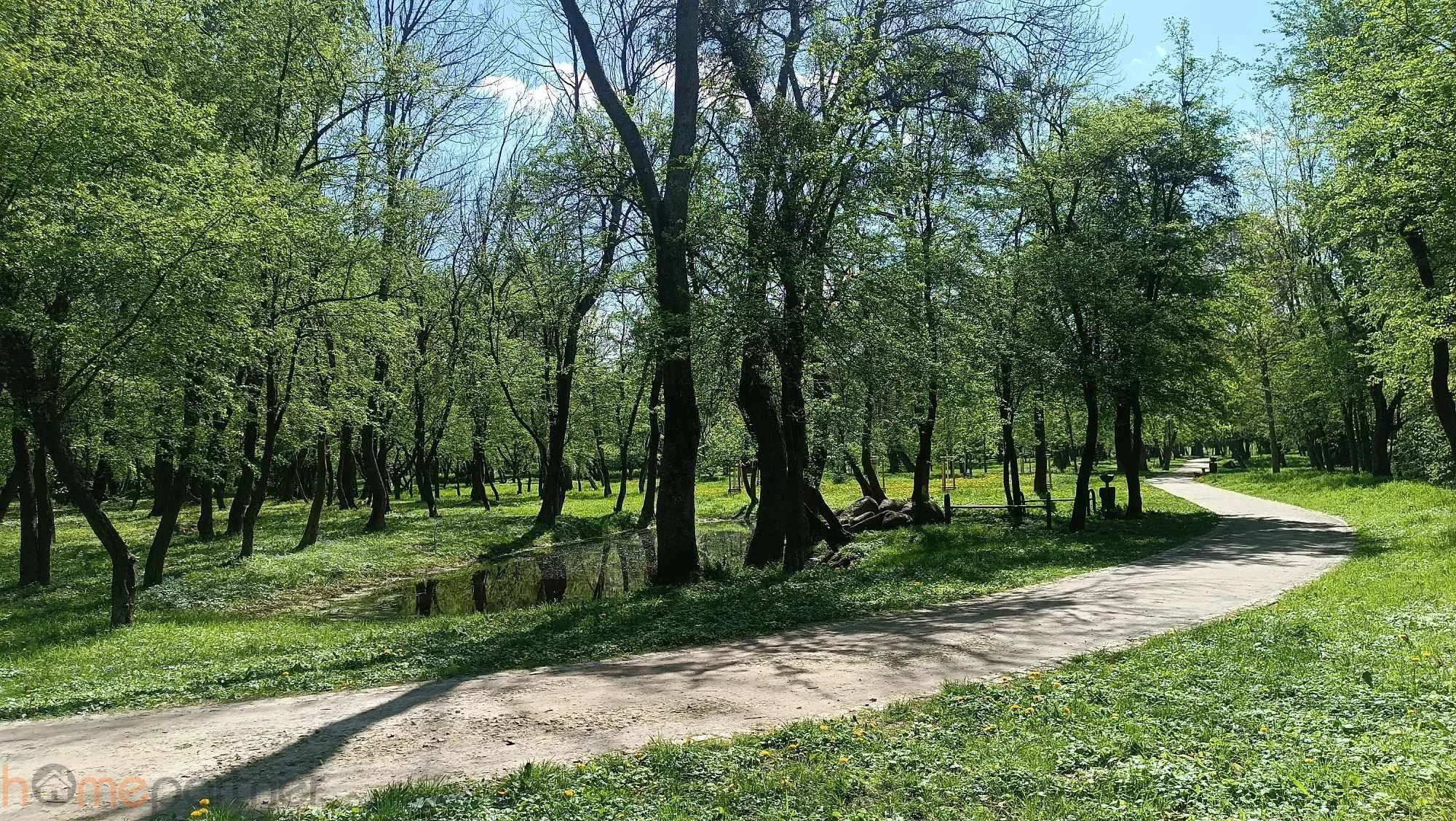 18386 - zdjęcie nr 0