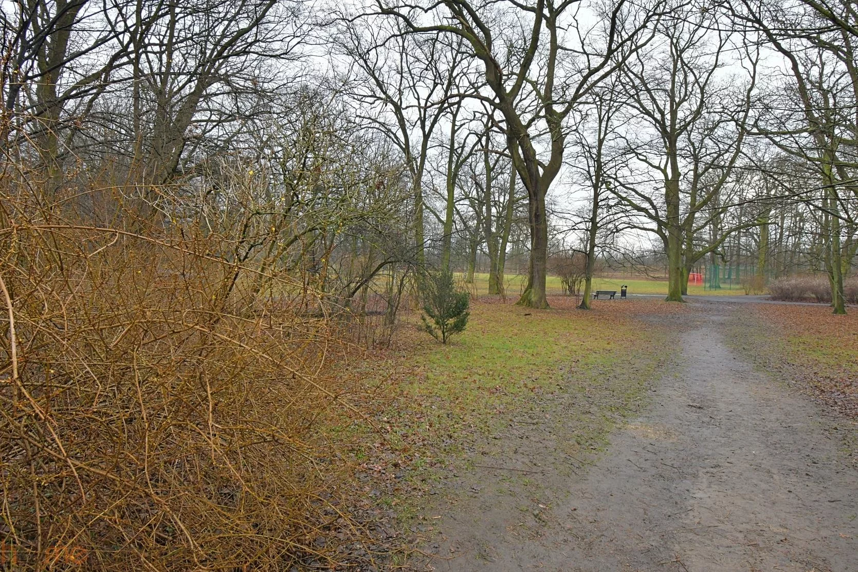 4 pokoje, mieszkanie 76,85 m², piętro 3, oferta nr , 19307, Wrocław, Biskupin-Sępolno-Dąbie-Bartoszowice, Śródmieście, Karola Olszewskiego