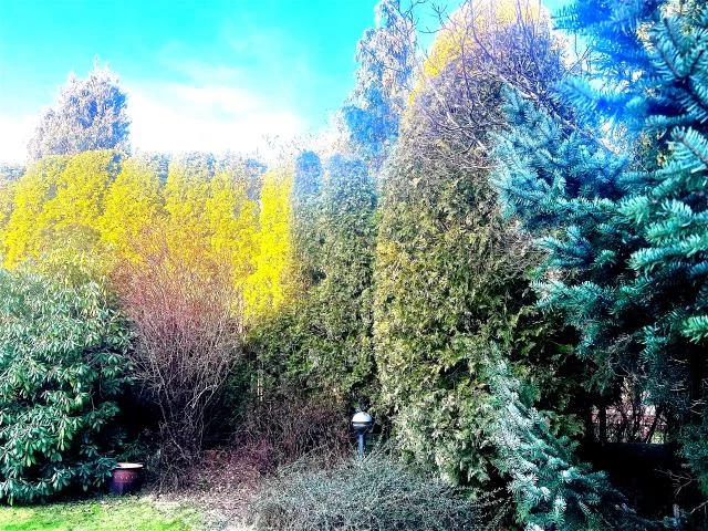 Dom 243,70 m², oferta nr , 499, Warszawa, Wawer, Wawer