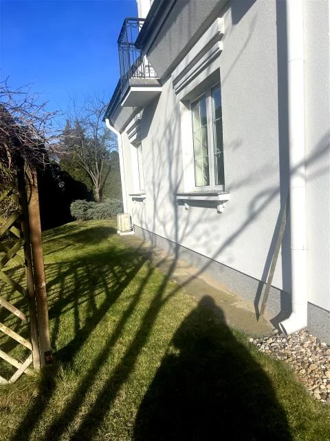 499 - zdjęcie nr 0