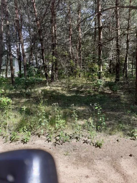 Apartamenty 498 Pasym Polna