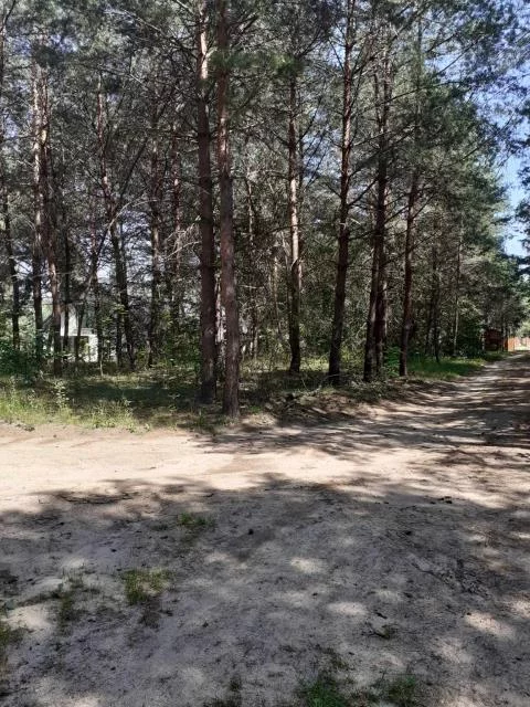 498 - zdjęcie nr 0