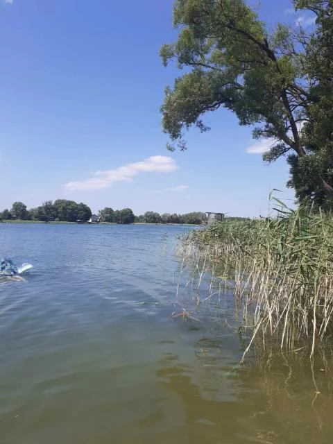 498 - zdjęcie nr 3