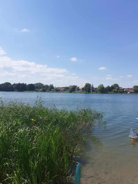 498 - zdjęcie nr 4