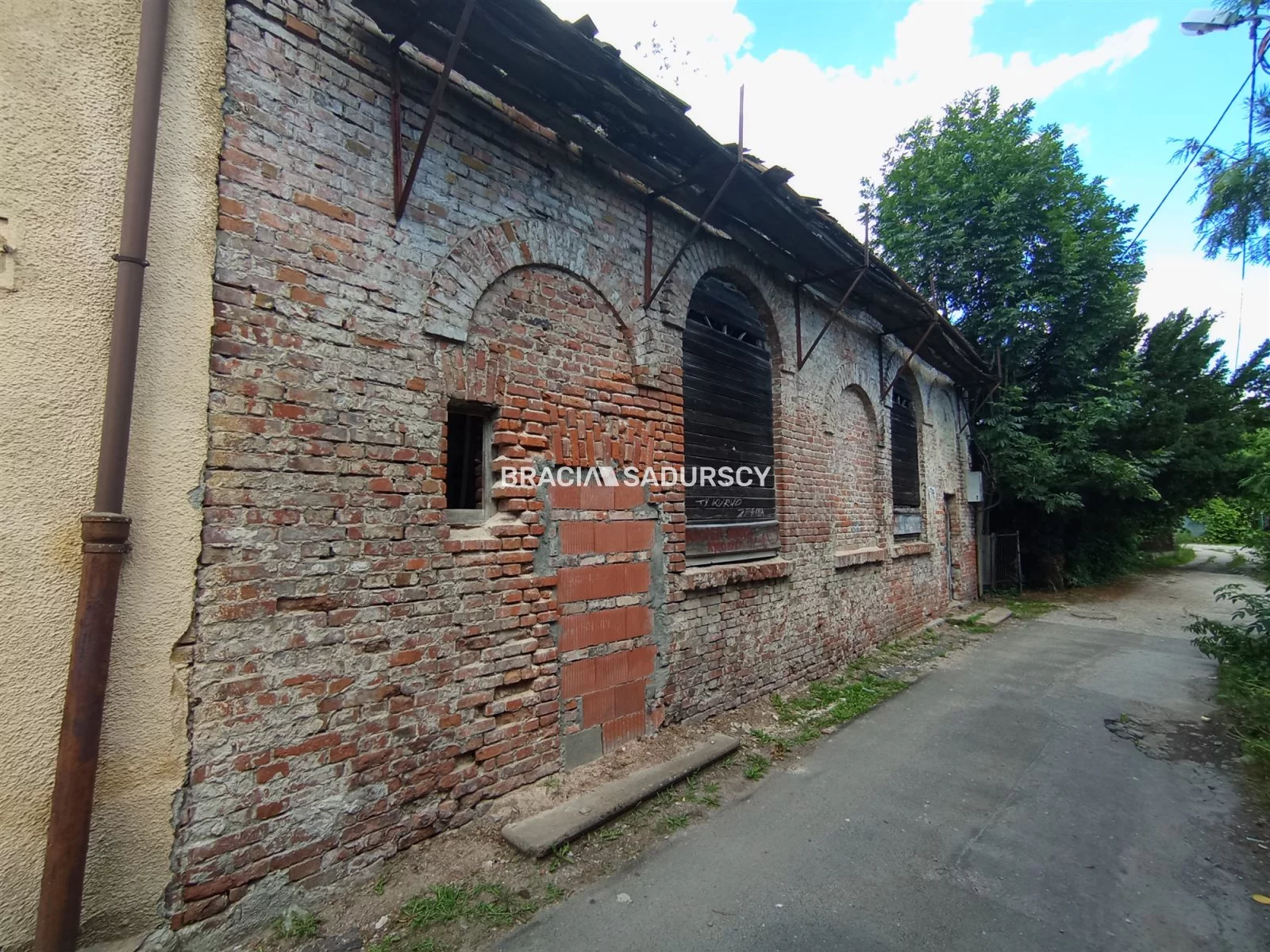 BS3-DS-310844 - zdjęcie nr 2