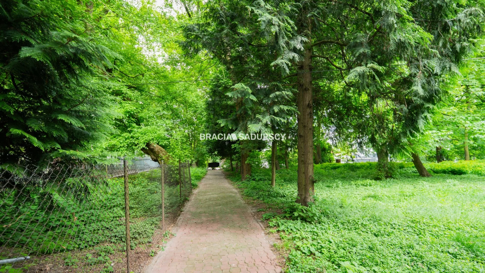 Dom 938,00 m², oferta nr , BS4-DS-309734-1, Kazimierza Wielka, Kościuszki