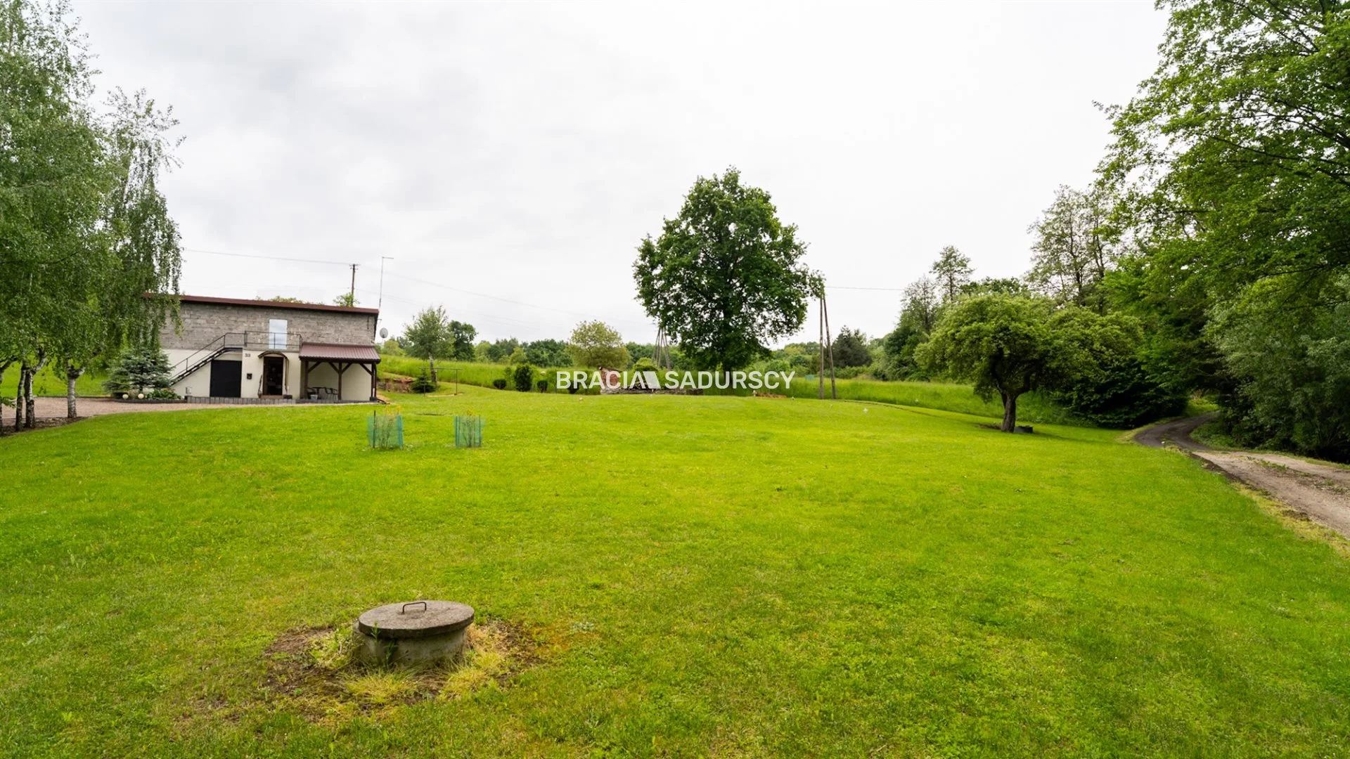 BS1-DS-309296-5 - zdjęcie nr 0