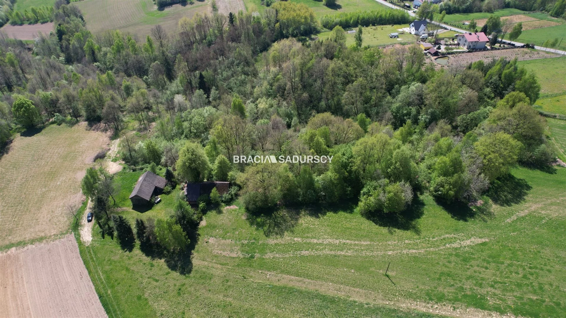 BS5-DS-308628-11 - zdjęcie nr 4