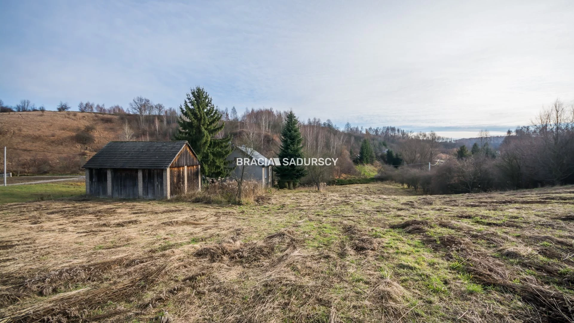BS5-DS-306427-122 - zdjęcie nr 2