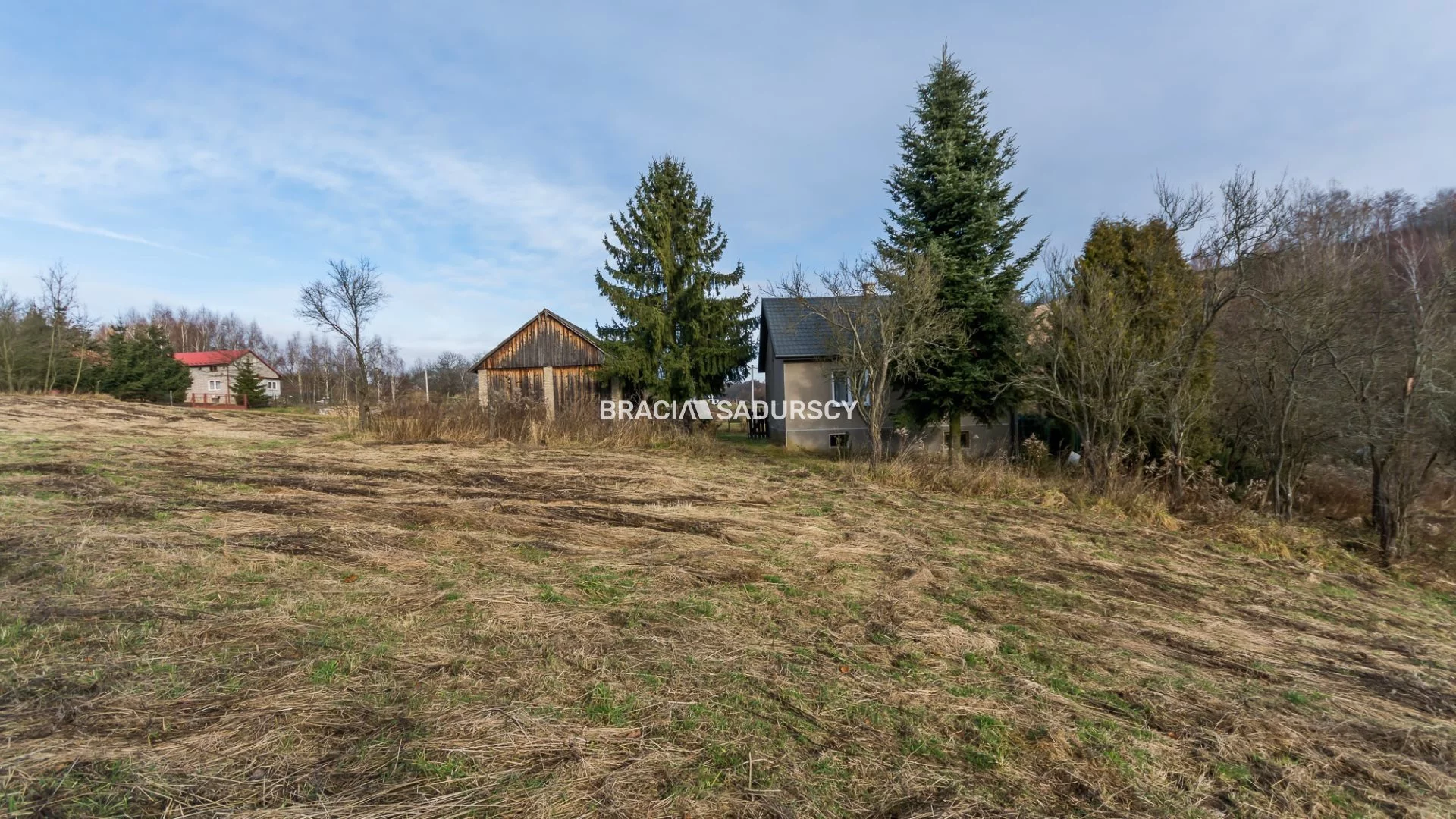 BS5-DS-306427-129 - zdjęcie nr 3