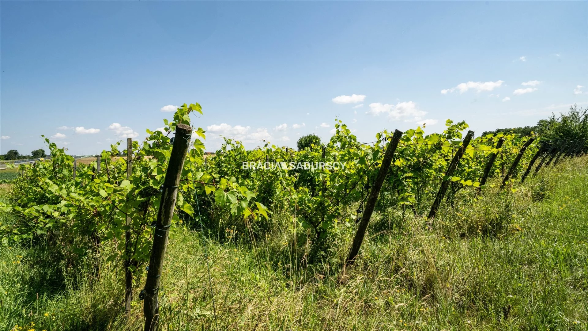 Dom 170,00 m², oferta nr , BS4-DS-310858, Miechów