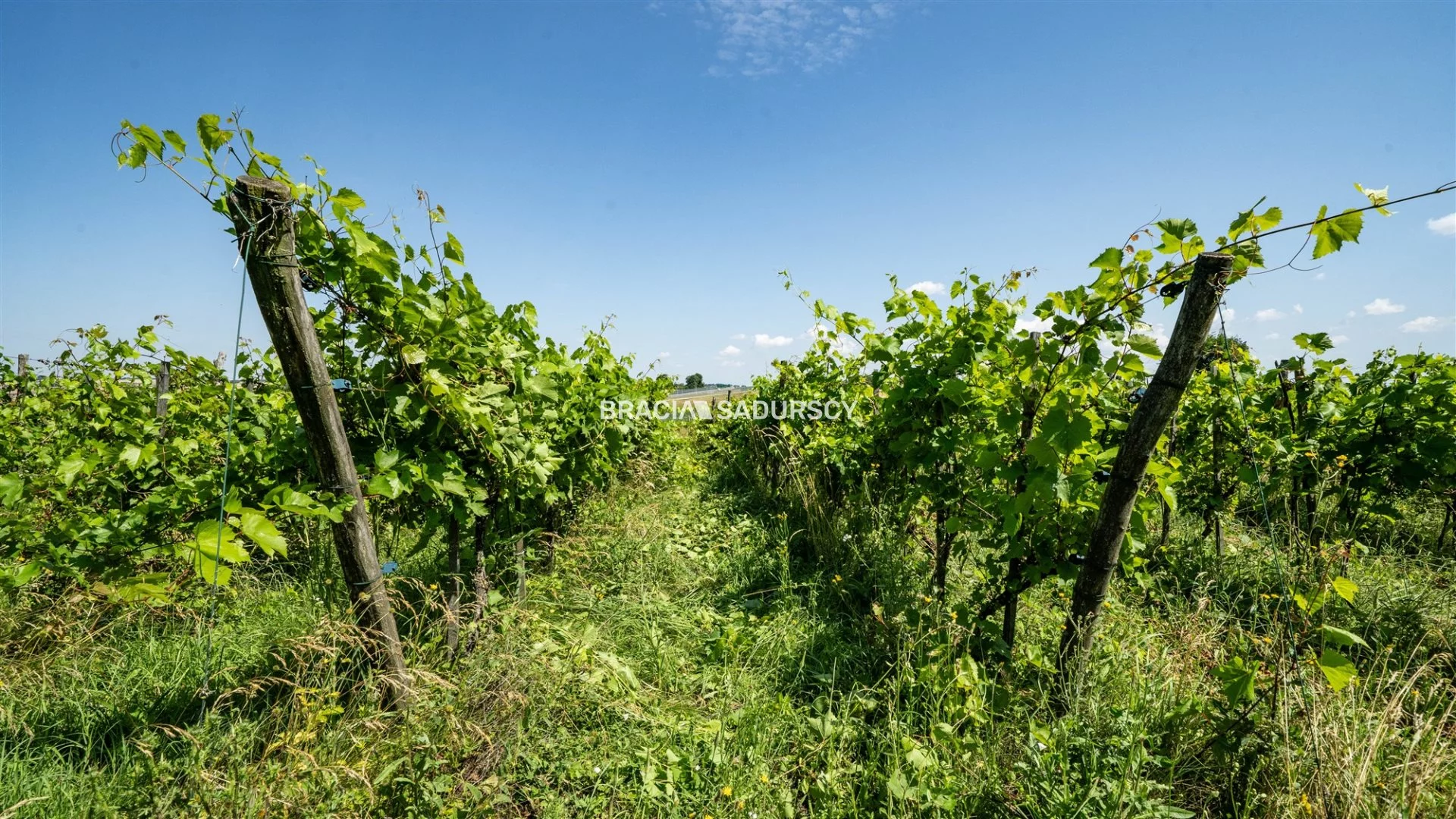 Dom 170,00 m², oferta nr , BS4-DS-310858, Miechów