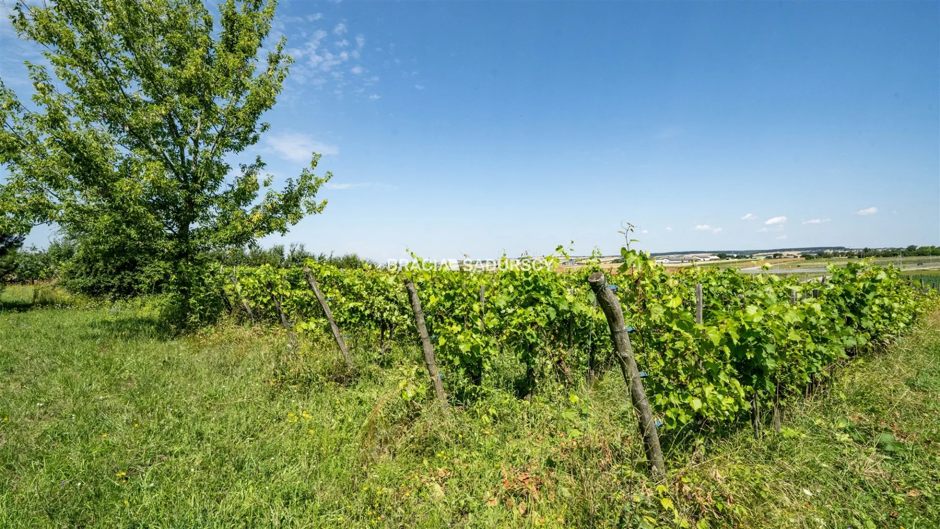 Dom 170,00 m², oferta nr , BS4-DS-310858, Miechów