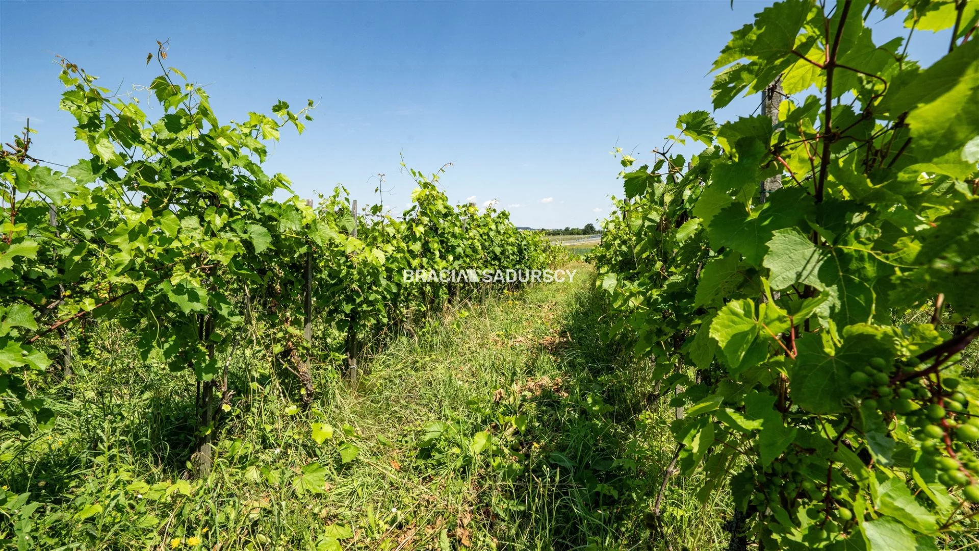 Dom 170,00 m², oferta nr , BS4-DS-310858, Miechów