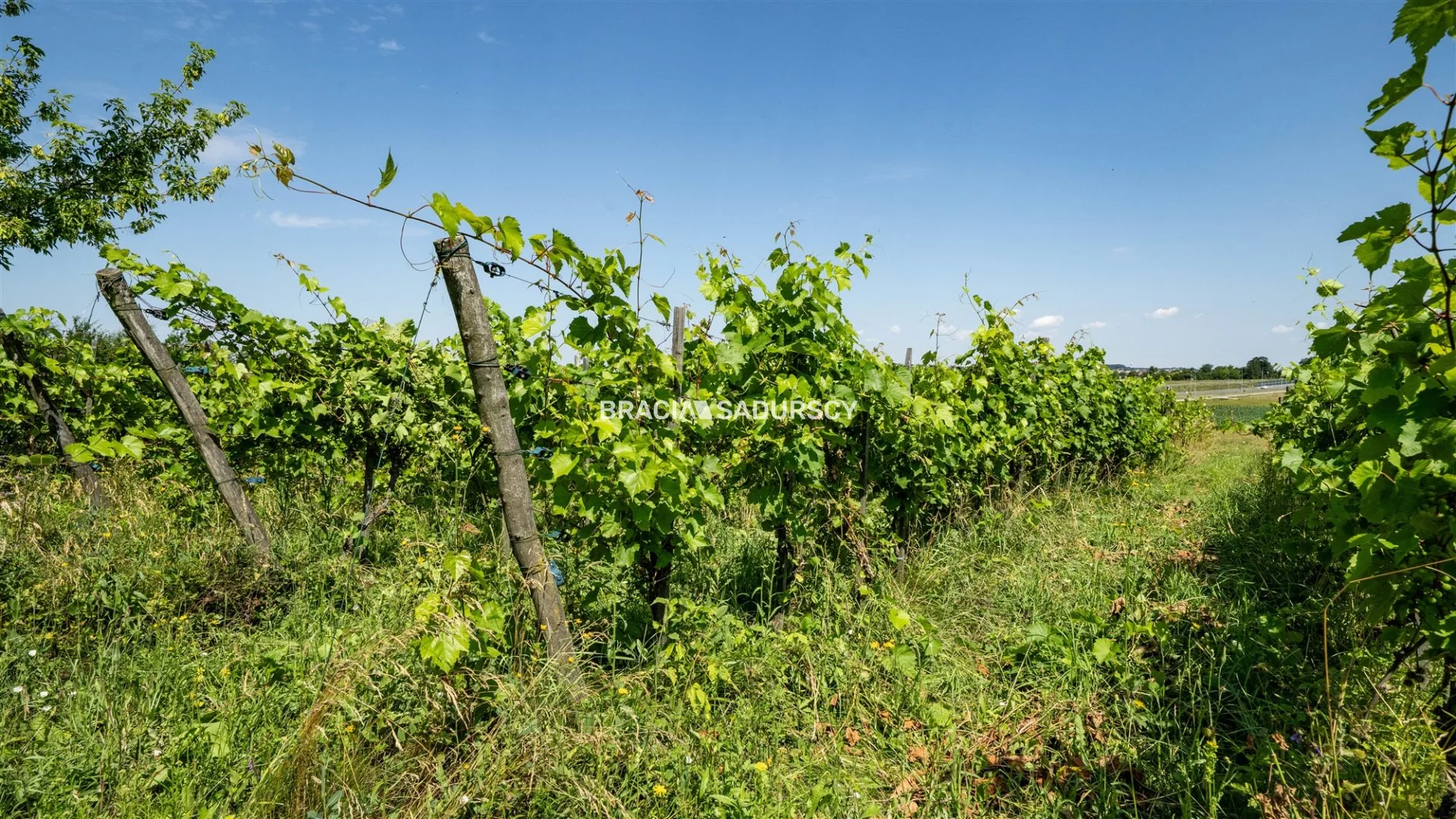 Dom 170,00 m², oferta nr , BS4-DS-310858, Miechów