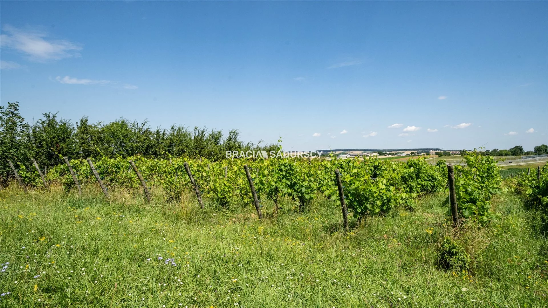 Dom 170,00 m², oferta nr , BS4-DS-310858, Miechów