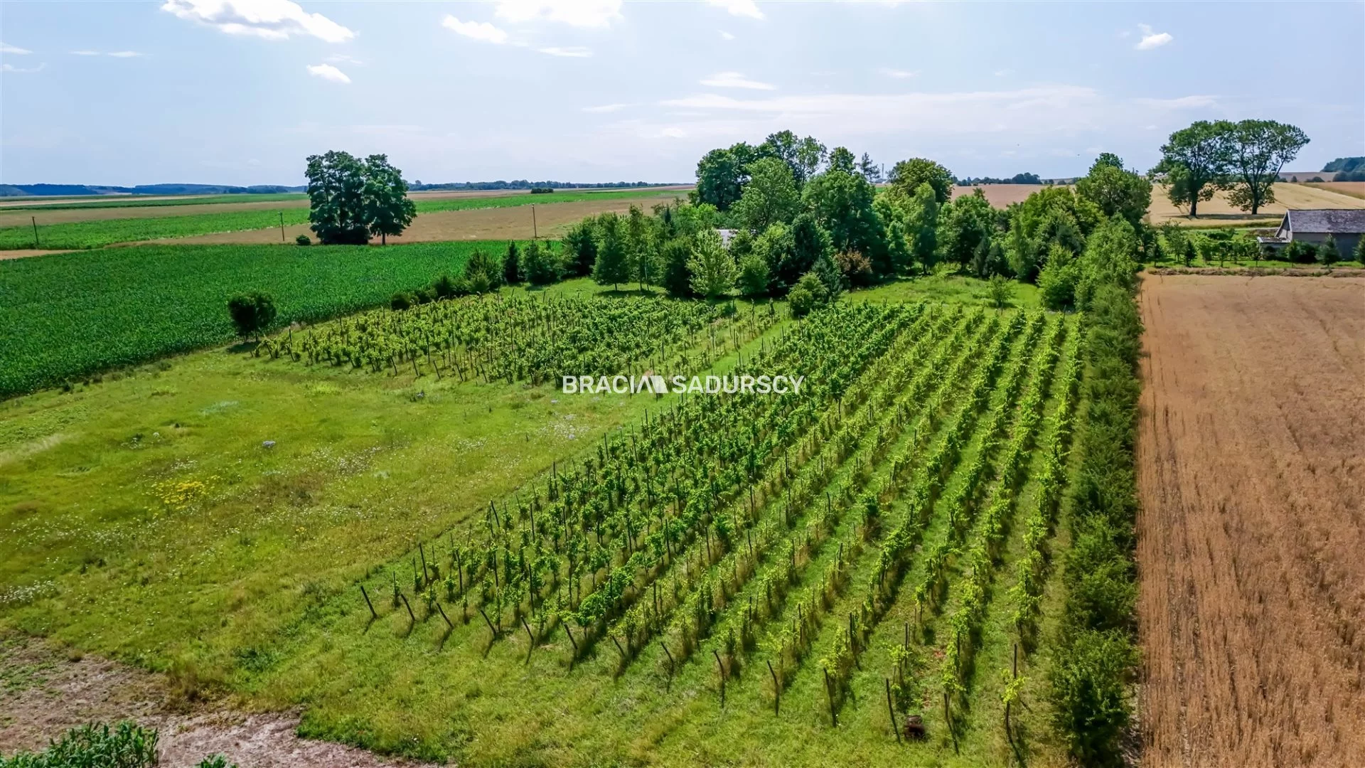 Dom 170,00 m², oferta nr , BS4-DS-310858, Miechów