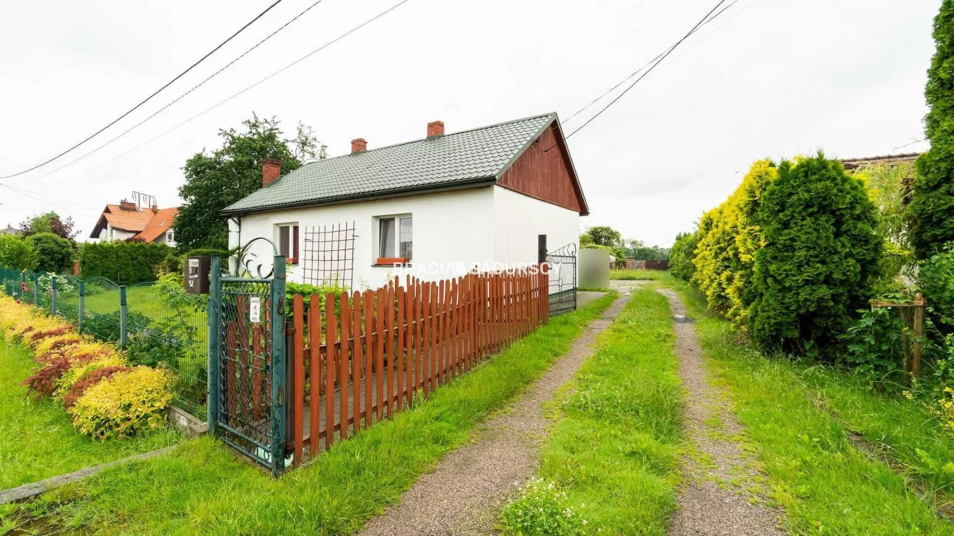 BS5-DS-302161-36 - zdjęcie nr 0