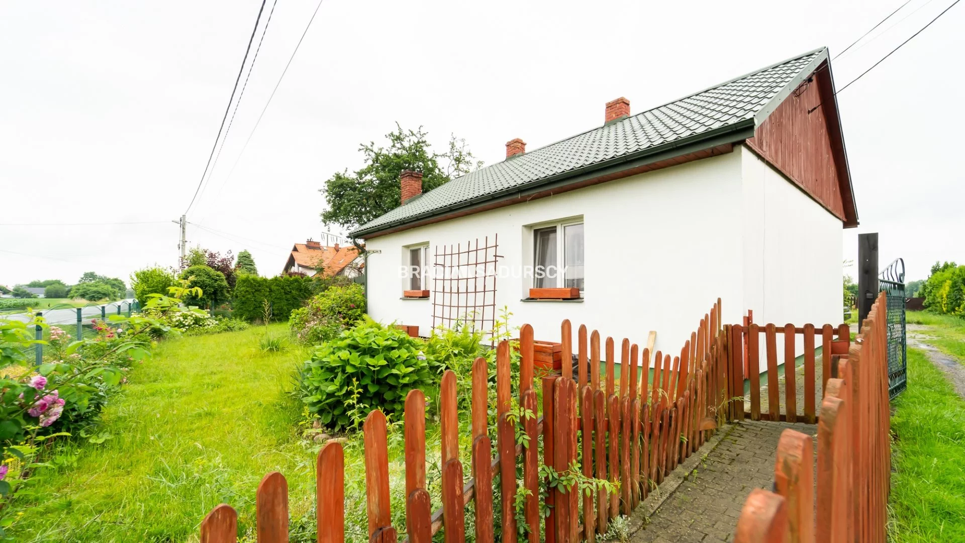 BS5-DS-302161-36 - zdjęcie nr 2