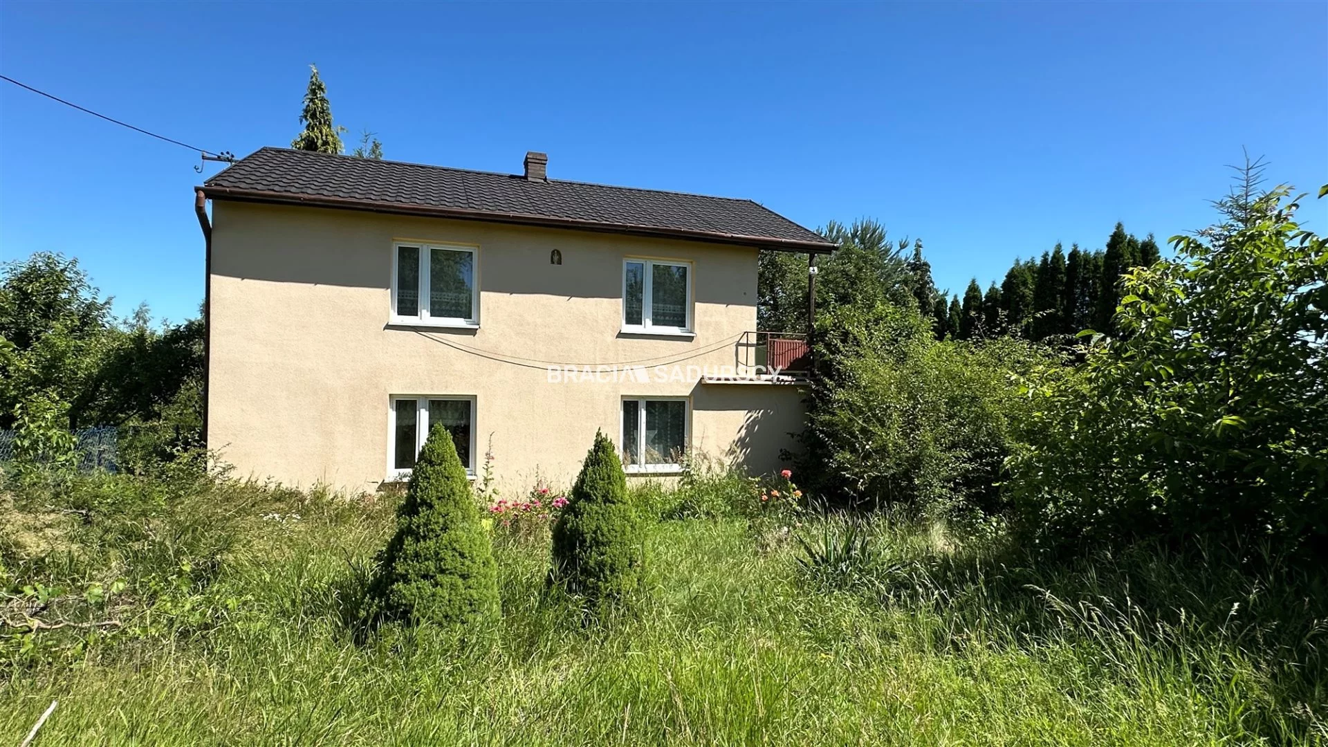 BS4-DS-310501-1 - zdjęcie nr 0