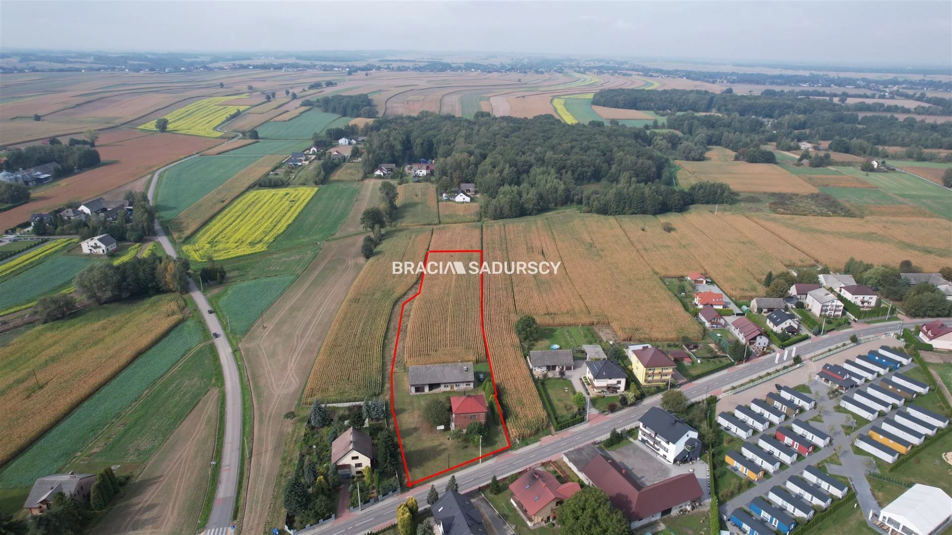 BS5-DS-303559-33 - zdjęcie nr 3