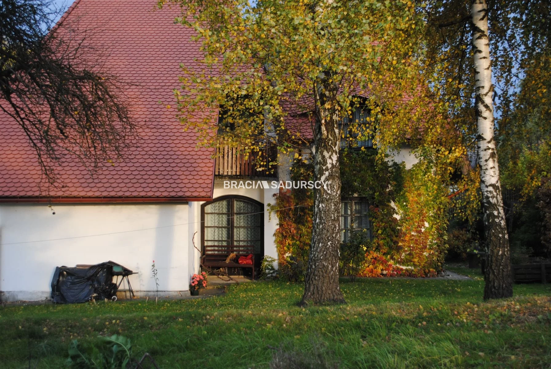 BS1-DS-309584-175 - zdjęcie nr 1