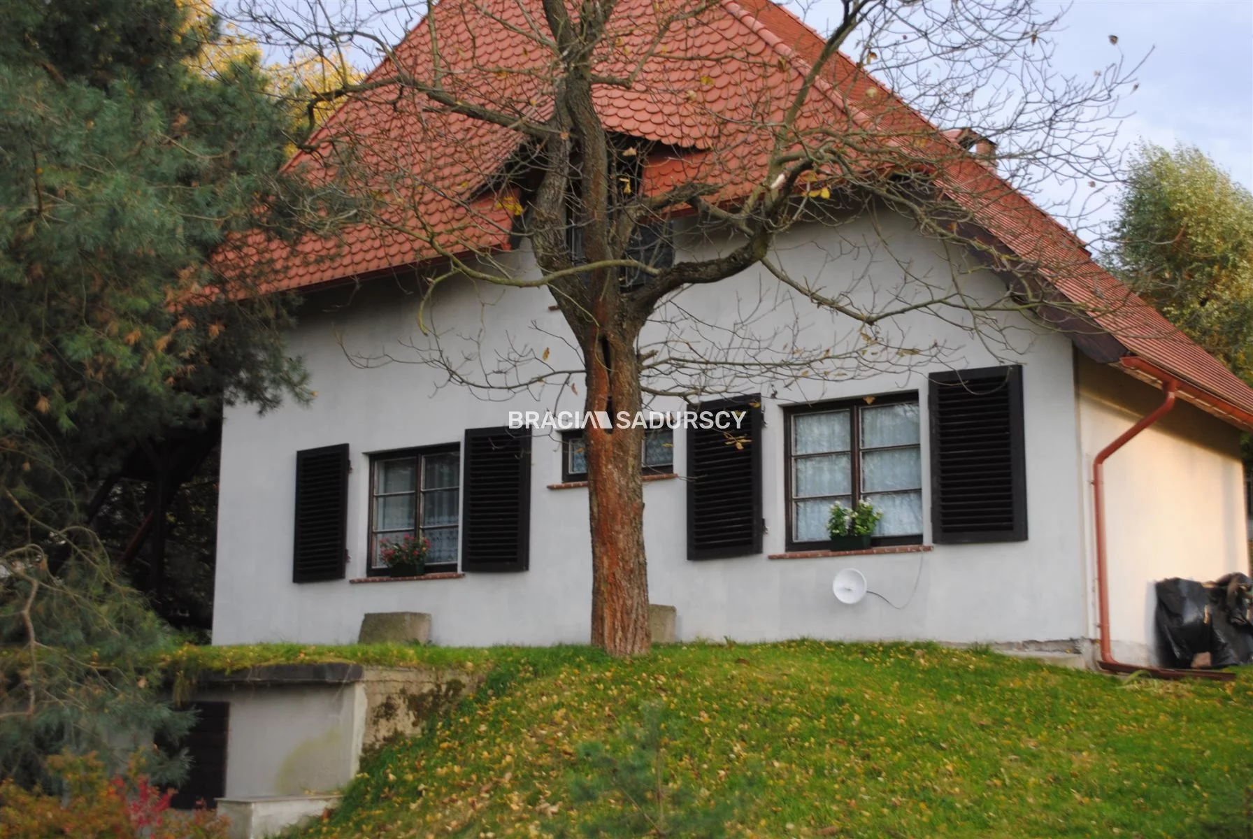 BS1-DS-309584-175 - zdjęcie nr 3