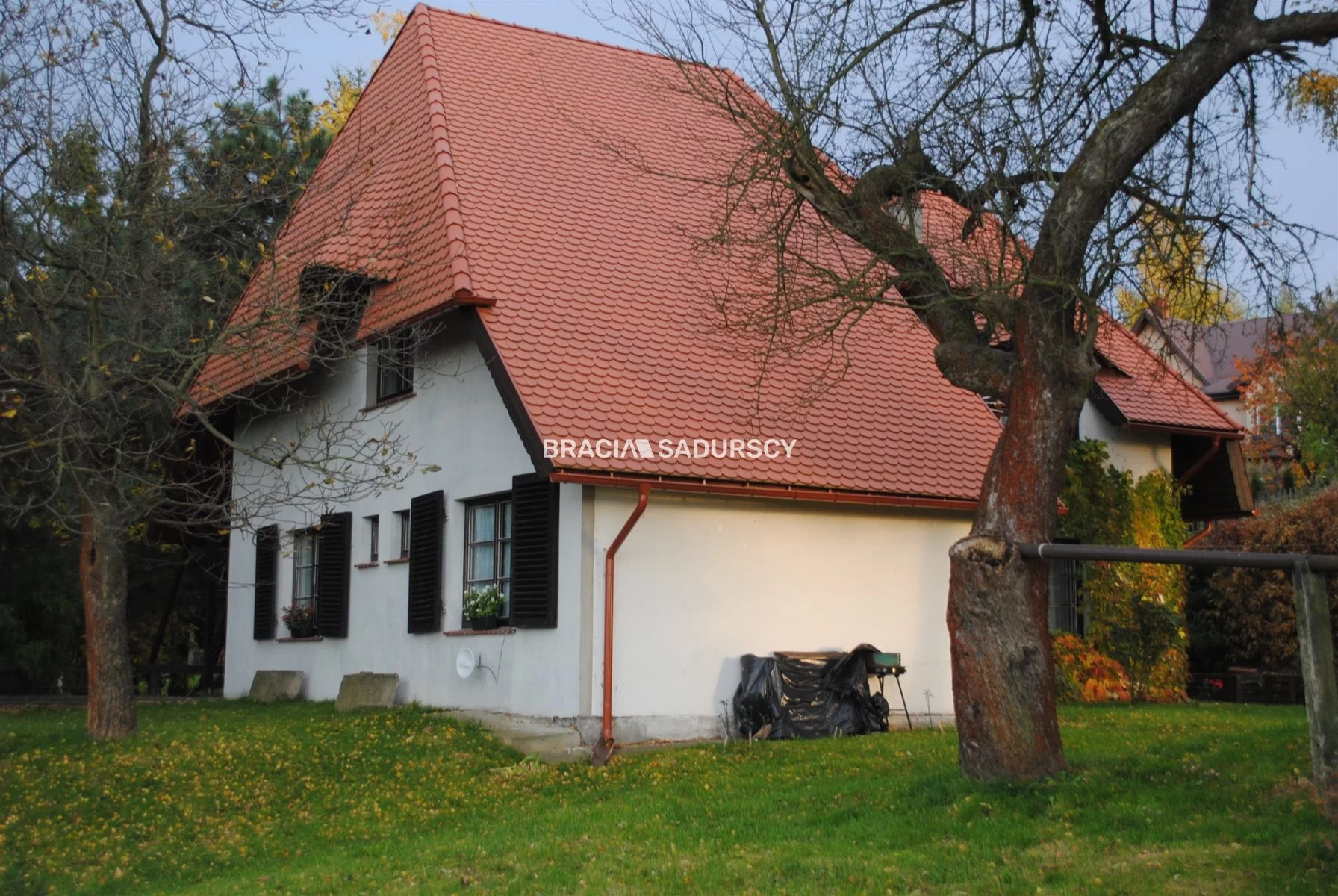 BS1-DS-309584-175 - zdjęcie nr 4