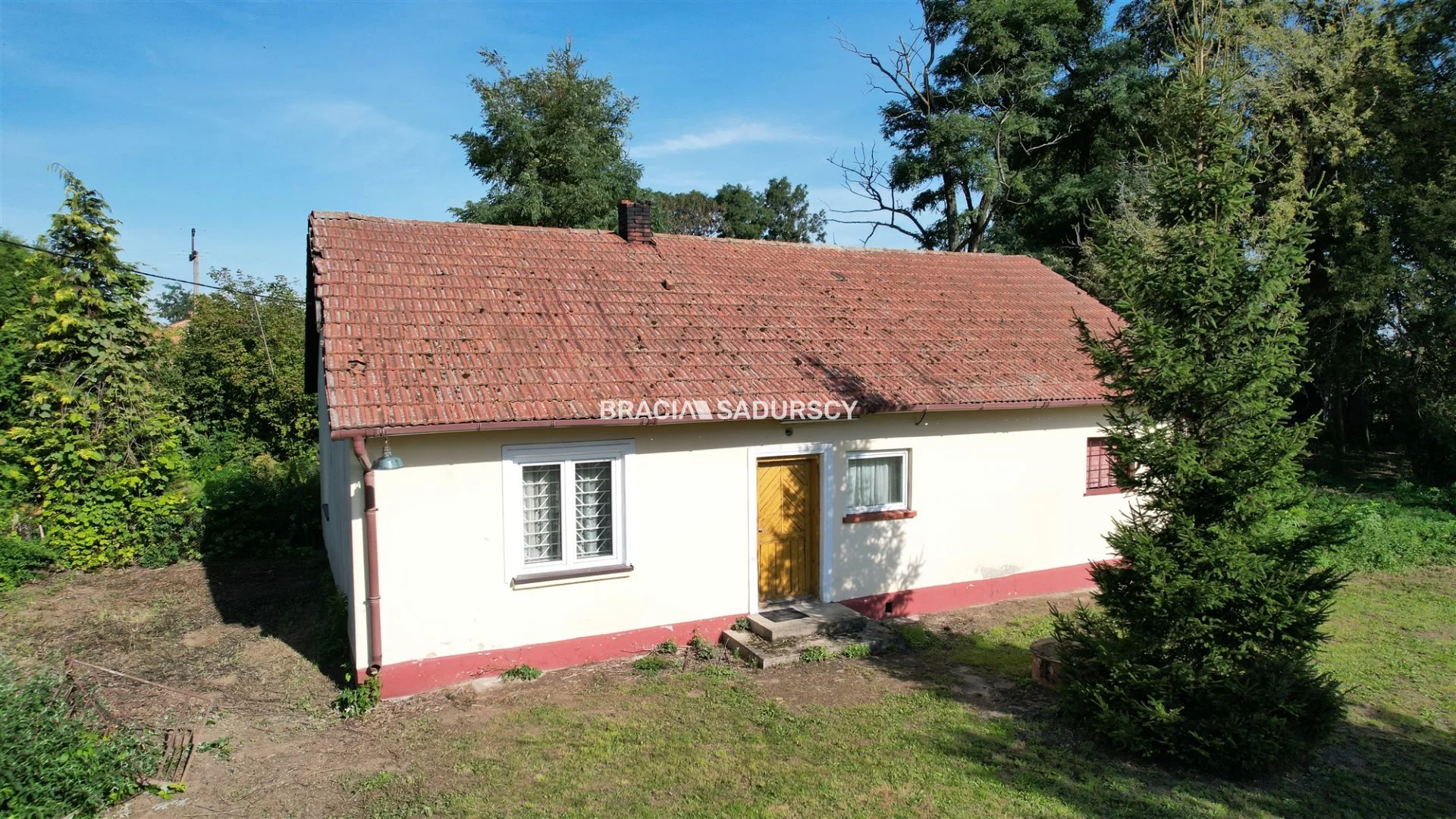 BS5-DS-304375-23 - zdjęcie nr 2