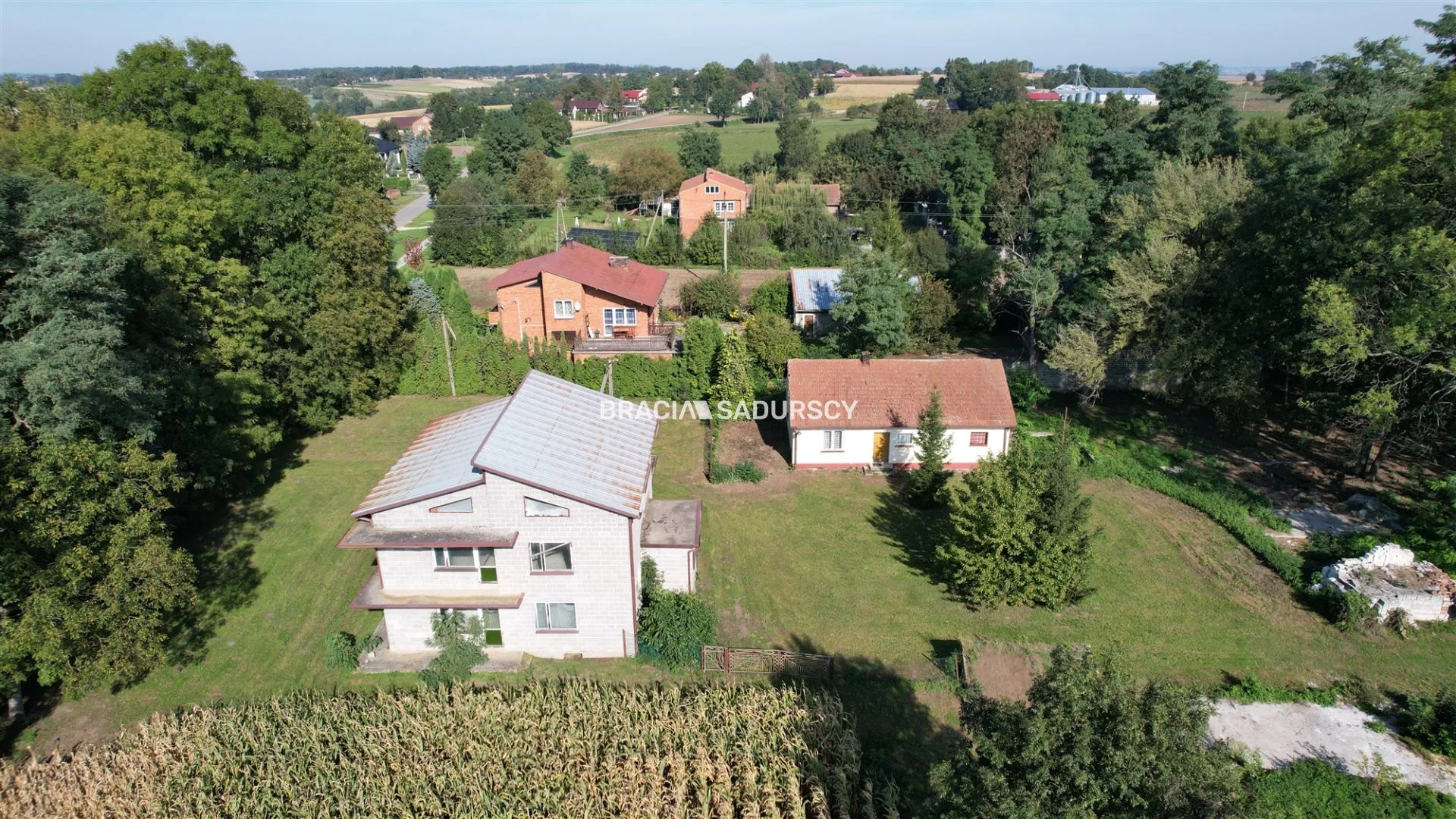 BS5-DS-304375-32 - zdjęcie nr 1