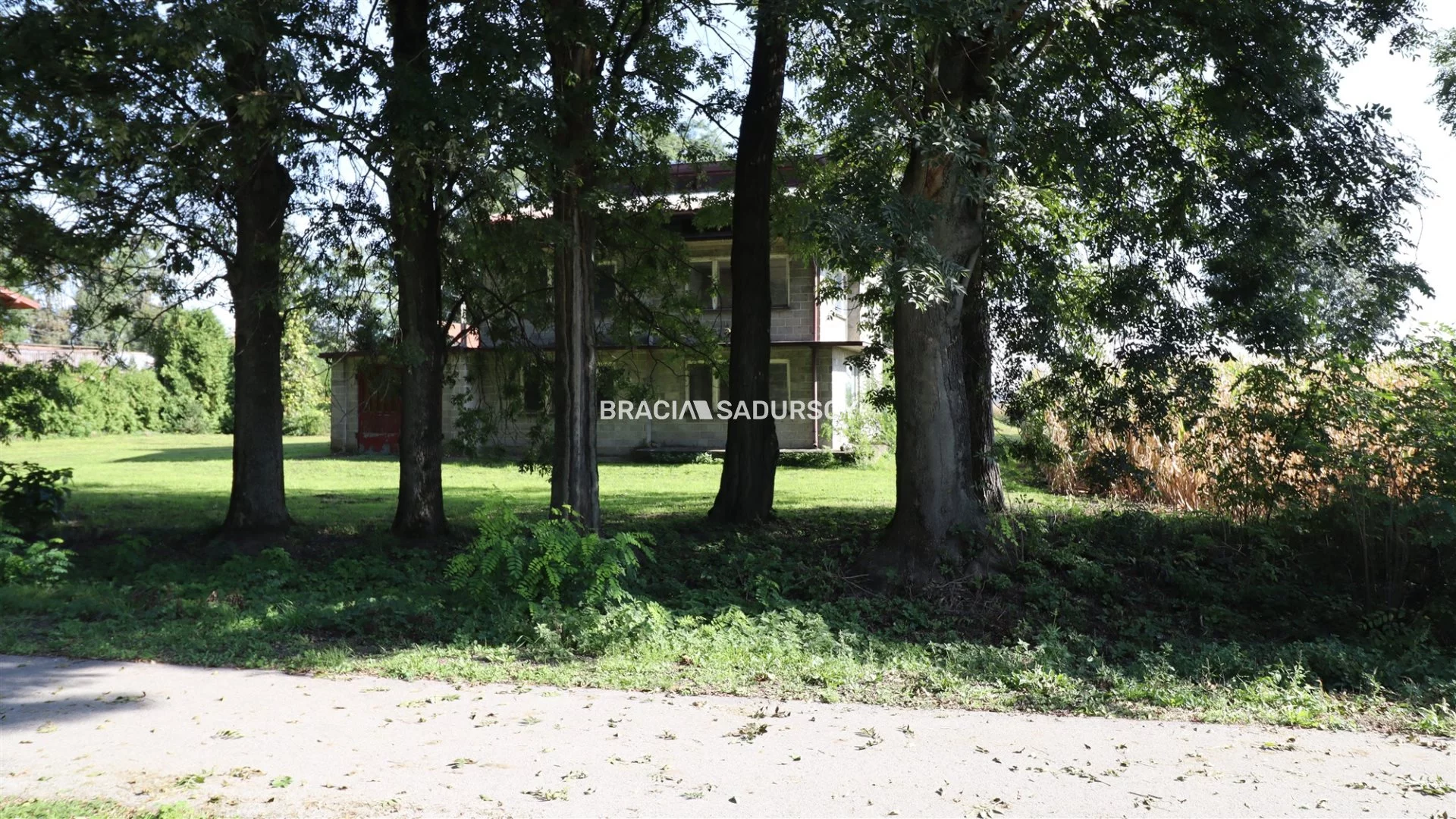 BS5-DS-304375-32 - zdjęcie nr 4
