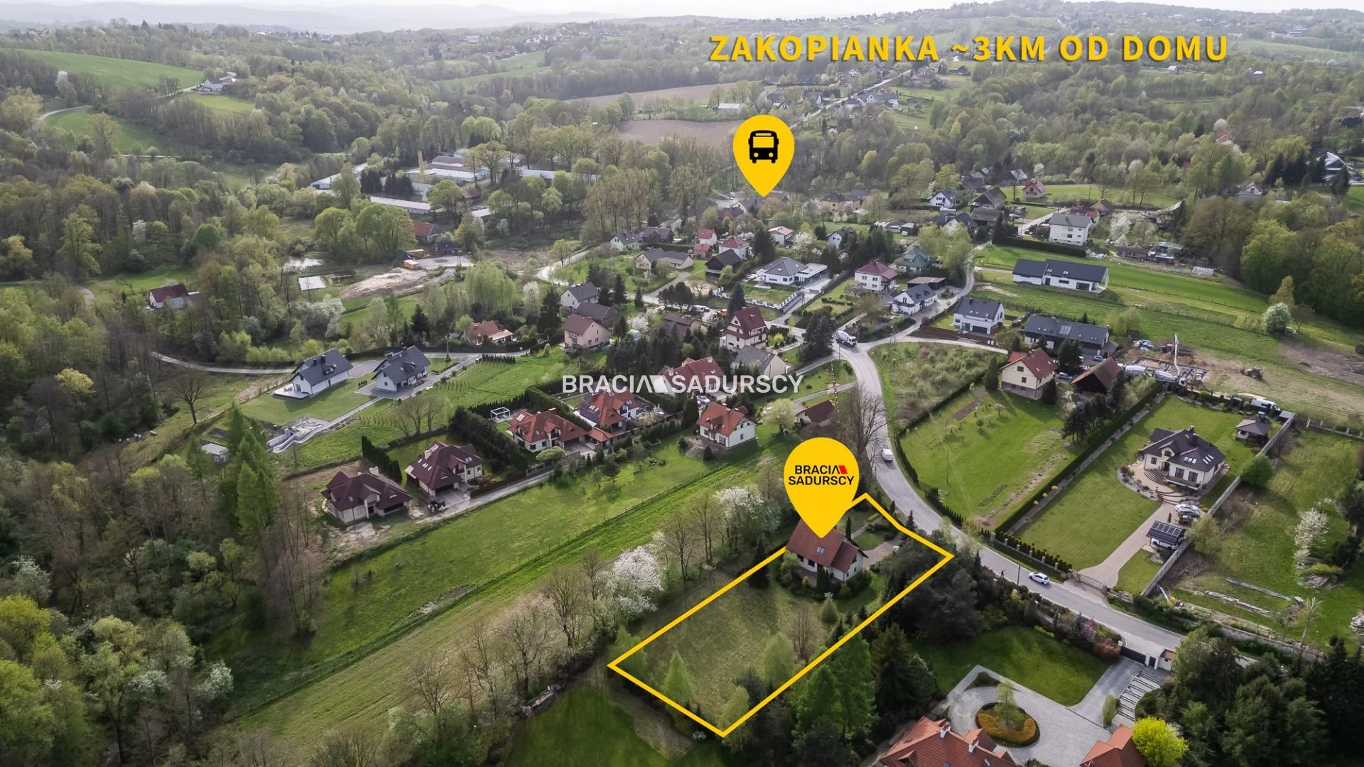 BS1-DS-309467-86 - zdjęcie nr 1