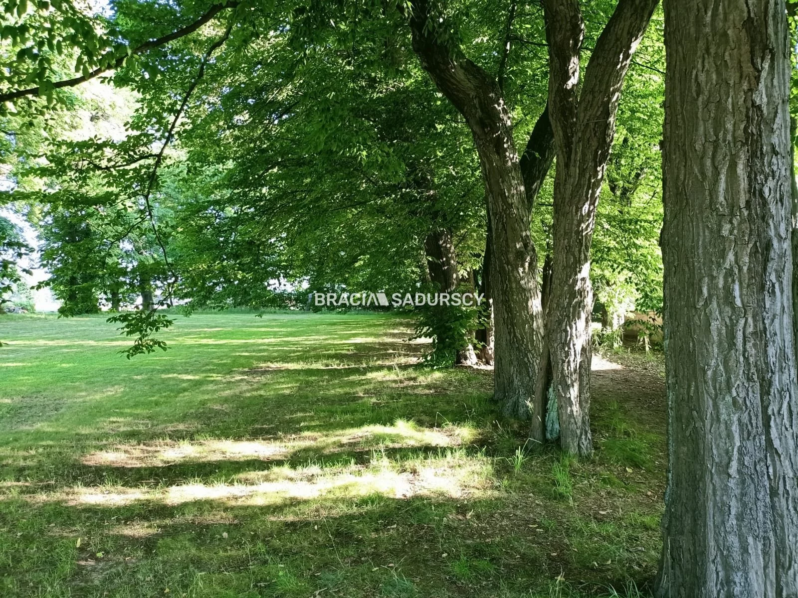 Dom 146,50 m², oferta nr , BS2-DS-297449-52, Paszkówka, Leśna