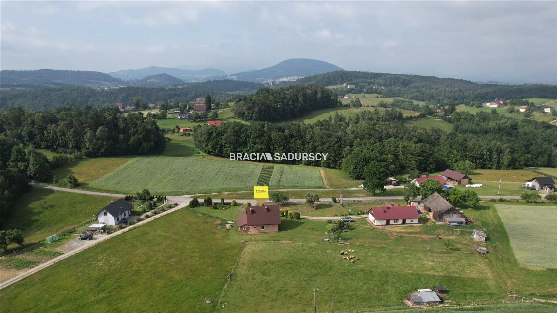 BS5-DS-307777-3 - zdjęcie nr 0
