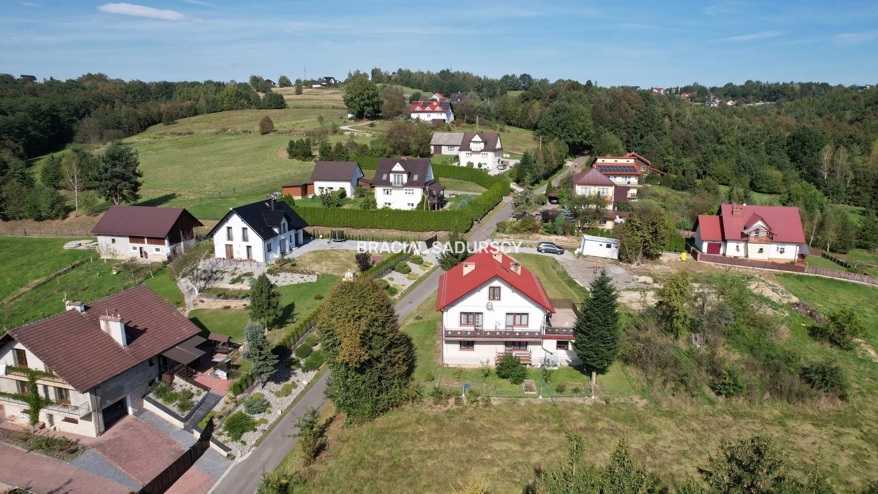 BS5-DS-302481-31 - zdjęcie nr 4