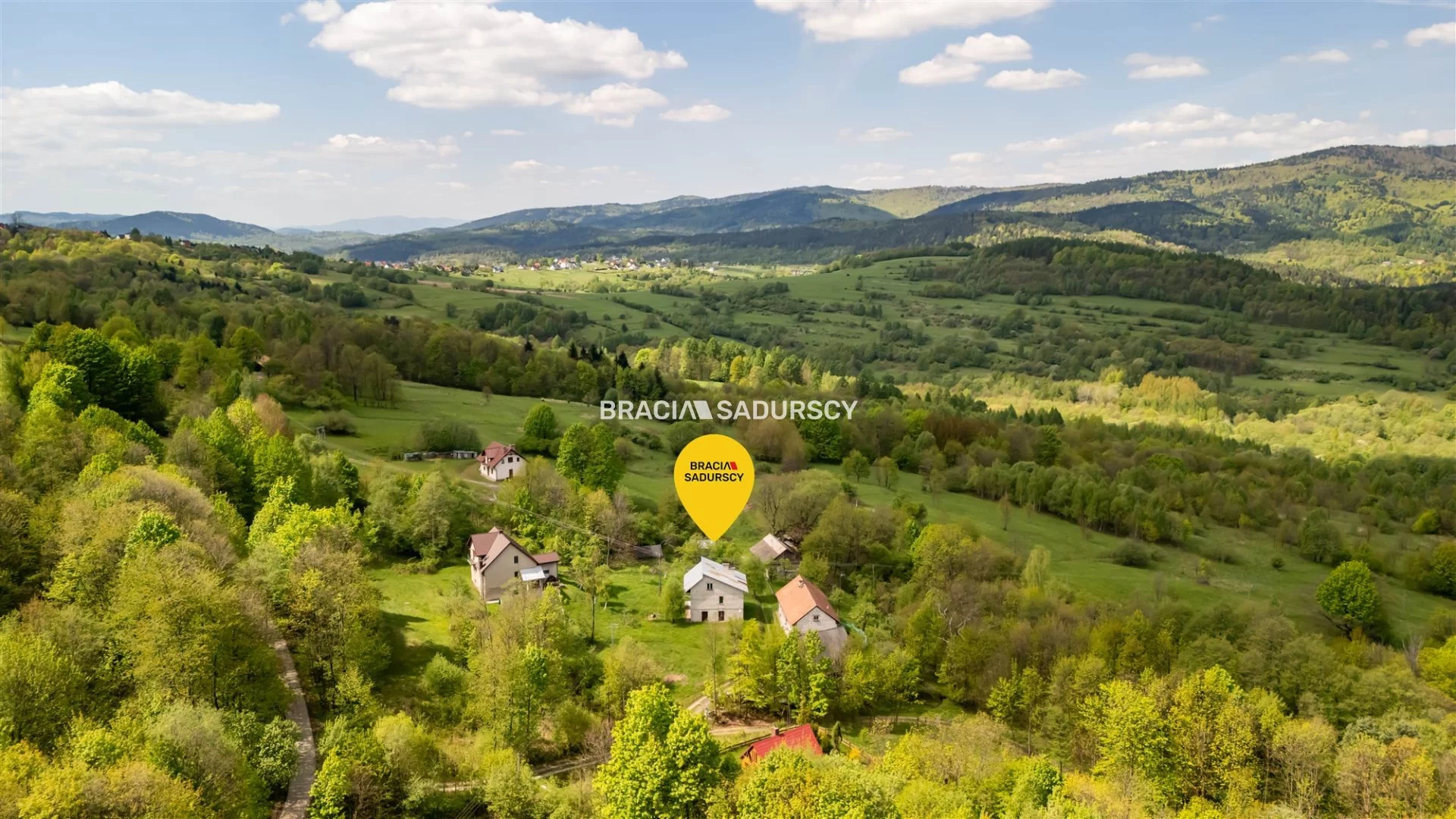 BS5-DS-307885-8 - zdjęcie nr 3