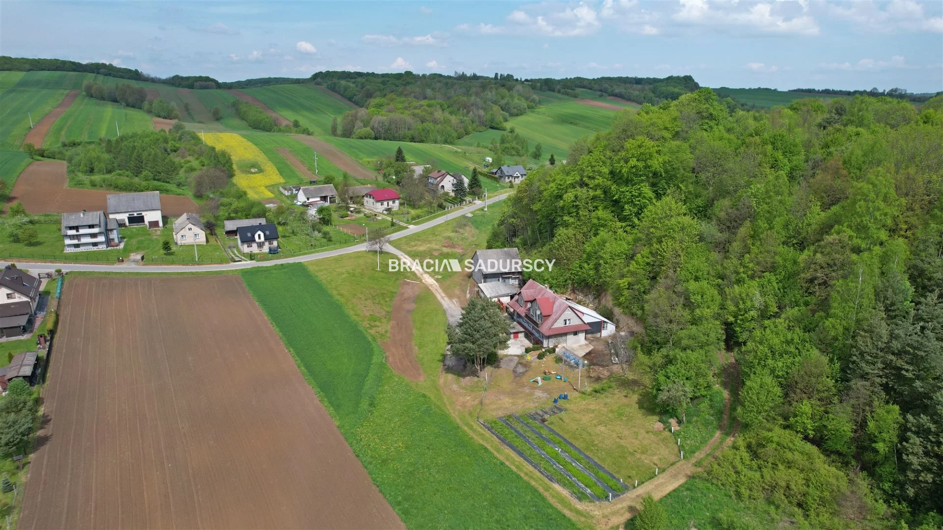 BS5-DS-307534-83 - zdjęcie nr 1