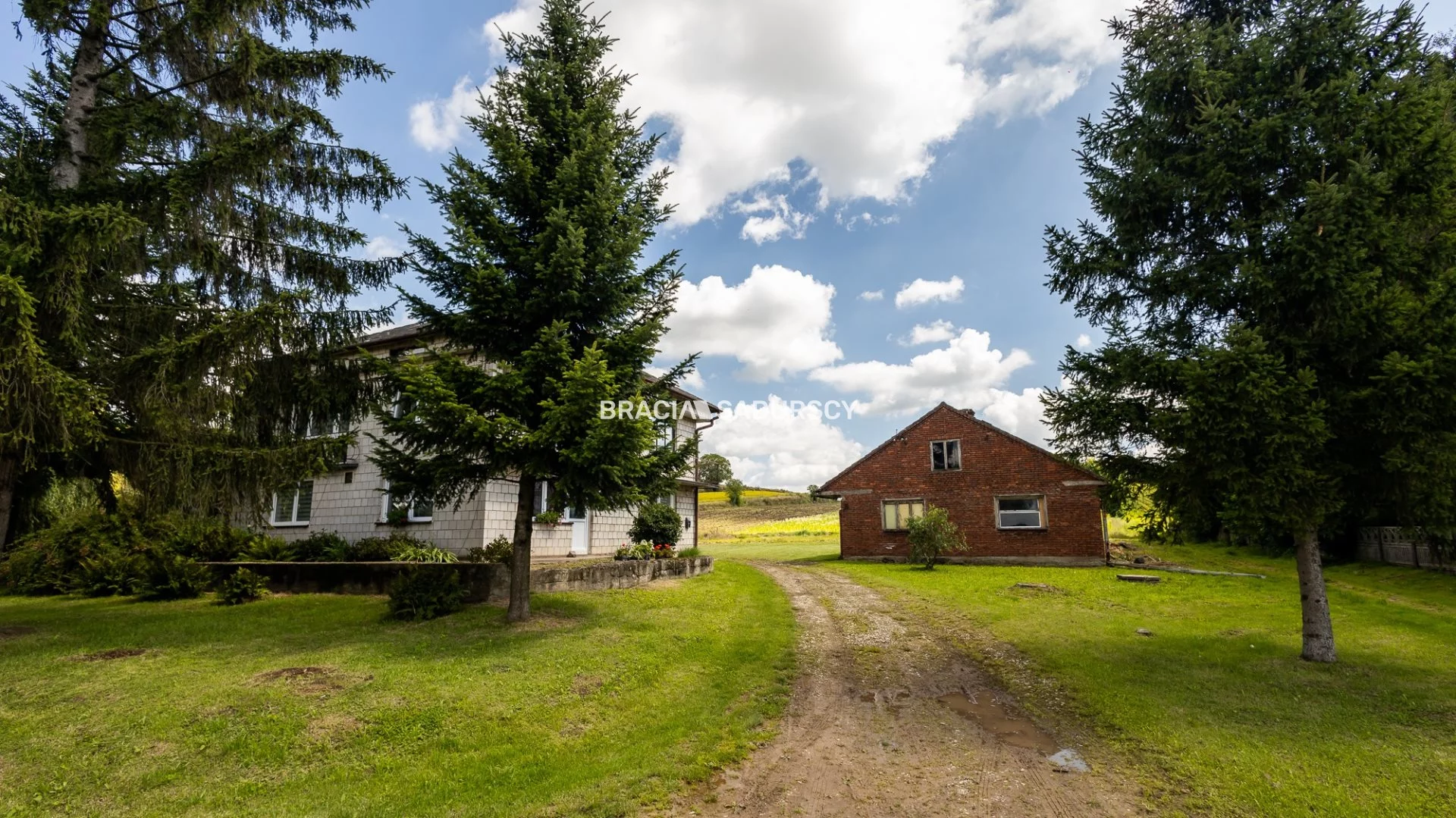 BS5-DS-295669-75 - zdjęcie nr 4