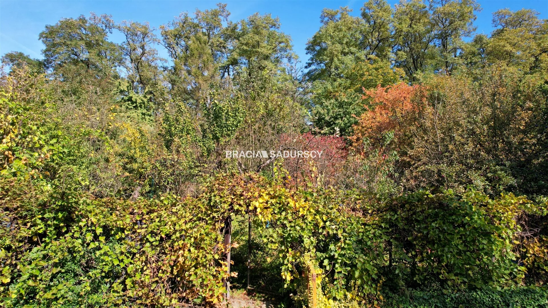 Dom 260,00 m², oferta nr , BS5-DS-289614-104, Kraków, Swoszowice, Rajsko, Jerzego Kuryłowicza