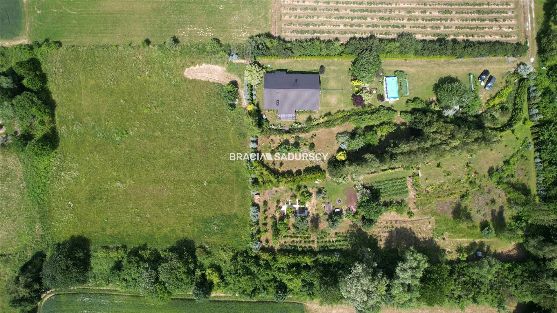 BS5-DS-310449-12 - zdjęcie nr 3
