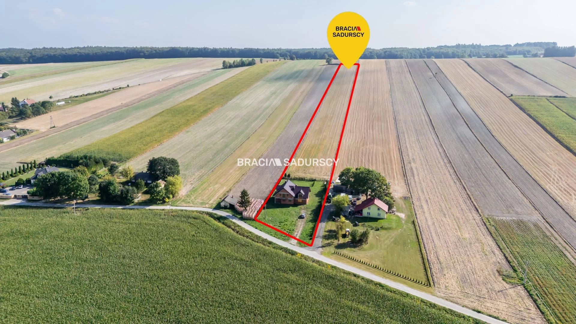 BS4-DS-309807-20 - zdjęcie nr 0