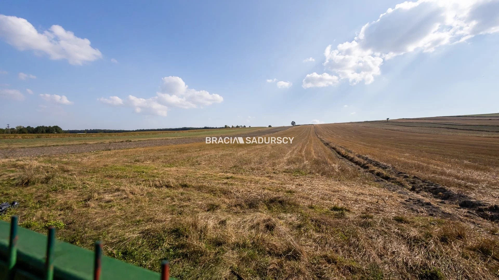 Dom 265,00 m², oferta nr , BS4-DS-309807-20, Miechów