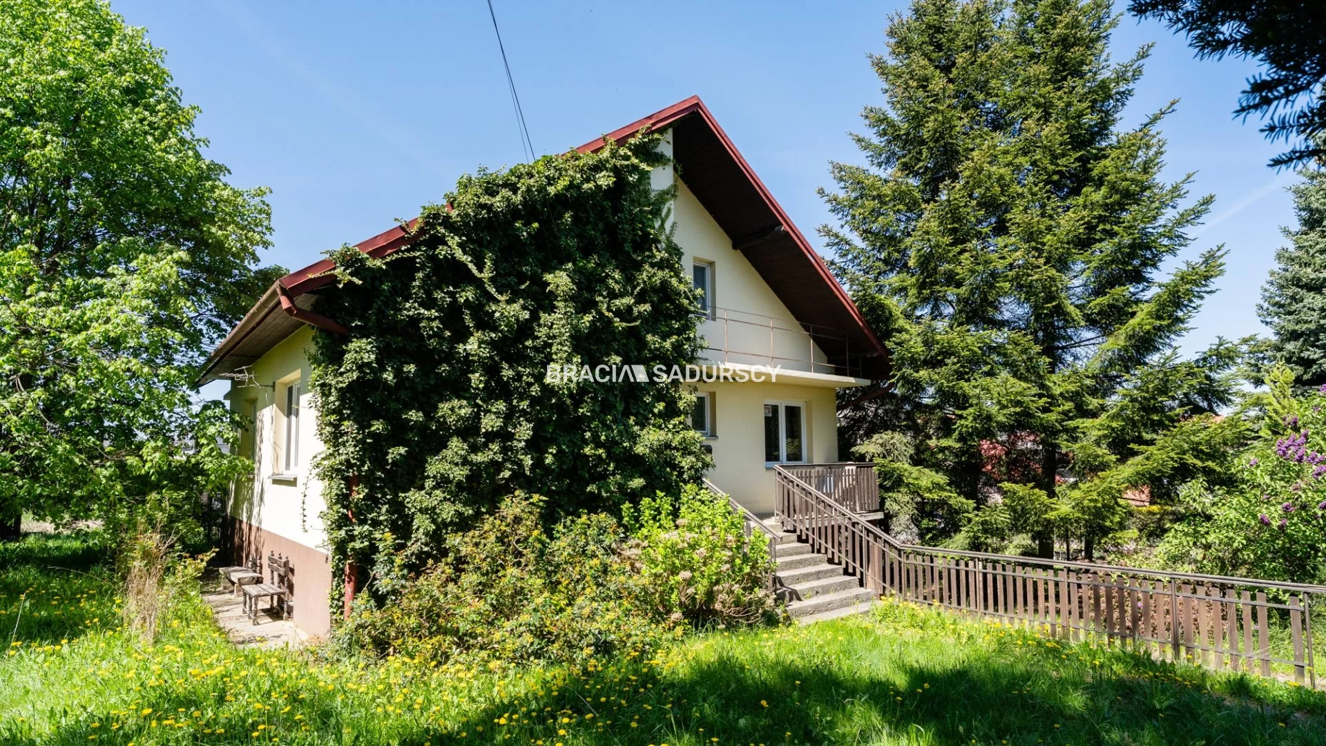 BS3-DS-308847-1 - zdjęcie nr 2